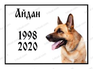 Тварини