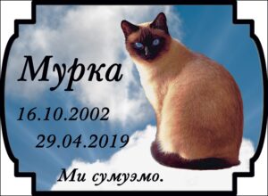 Табличка на памʼятник тварині з фото та написом, арт. 14309